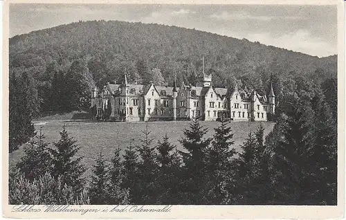 Schloß Waldleiningen i.bad.Odw. ngl 49.878