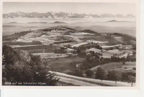 Gresgen Blick auf die Schweizer Alpen gl1954 77.104