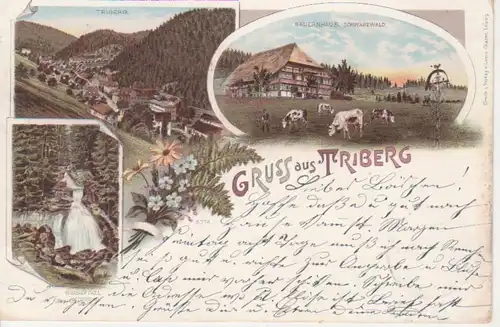 Triberg Litho Bauernhaus Wasserfall Total gl1899 81.260