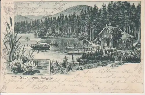 Säckingen Litho Partie am Bergsee gl1904 81.496