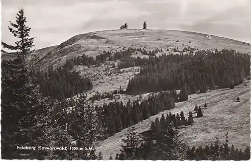 Blick auf den Feldberg i.Schwarzwald gl1964 49.948