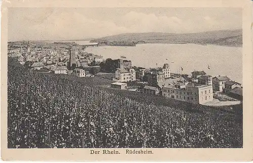 Rüdesheim a.Rh. Teilansicht feldpgl1914? 49.560