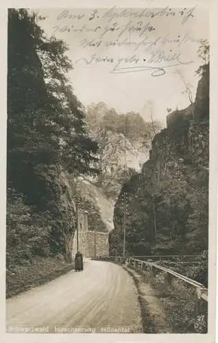 Höllental Hirschsprung feldpgl1917 102.268