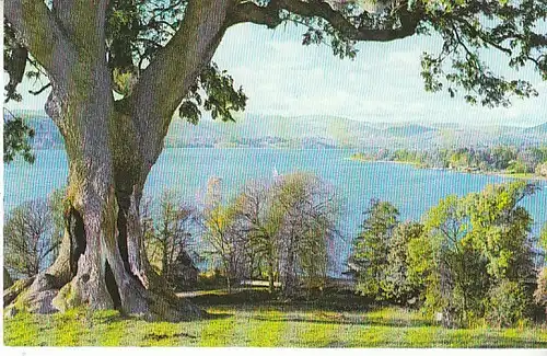 Lake Windermere ngl B9908