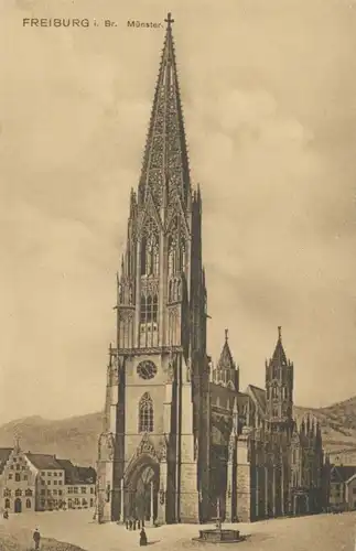 Freiburg i.B. Münster ngl 102.172