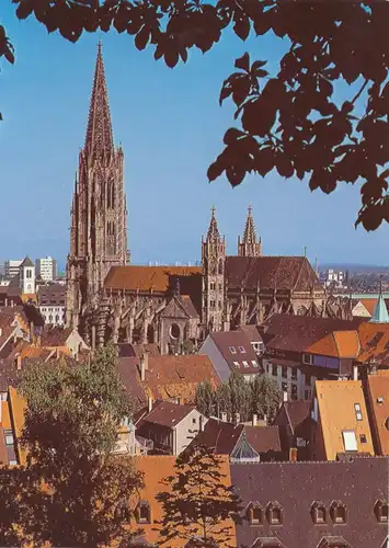 Freiburg Blick vom Schlossberg auf Münster ngl 102.190