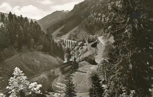 Höllental Partie bei der Ravenna-Brücke ngl 102.201