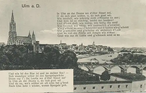 Ulm a.d. Donau Teilansicht gl 101.620