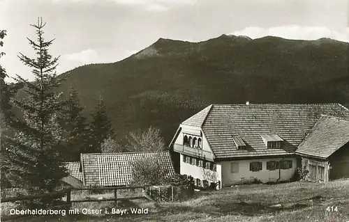 Oberhaiderberg Pension Pfeffer mit Osser ngl 120.699