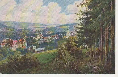 Bad Elster Fernblick von Norden gl1918 81.125