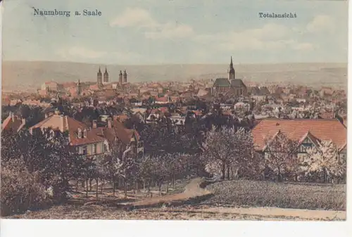 Naumburg a.S. Panorama gl1923 92.323