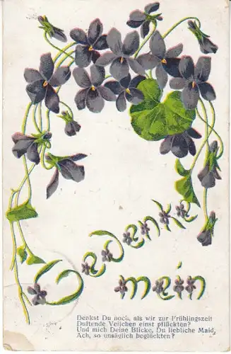 Veilchen - Gedenke mein gl1914 23.783