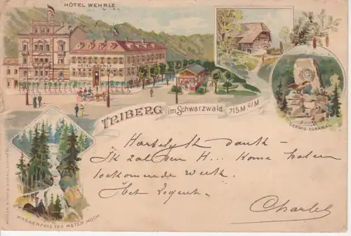 Triberg Litho Hotel Wehrle Umgebung bahnpgl1901 81.257