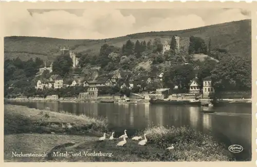 Neckarsteinach Mittel- und Vorderburg ngl 103.309