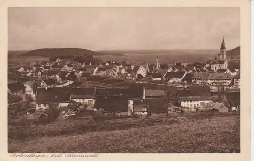 Bräunlingen Gesamtpanorama ngl 82.806