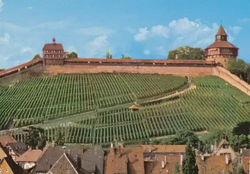 Esslingen Burg Weinberge gl1989 103.383