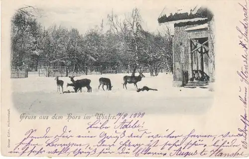 Harz Suderode Wildfütterung im Winter gl1898 20.955
