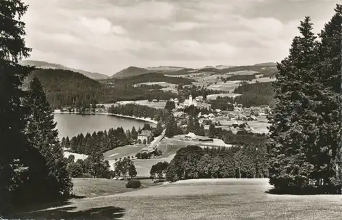 Titisee Panorama glca.1950 102.822