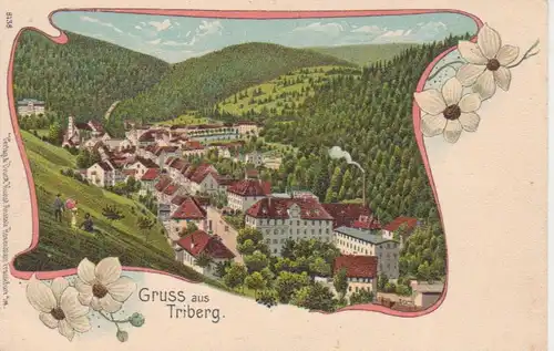 Triberg Litho Gesamtpanorama ngl 81.259