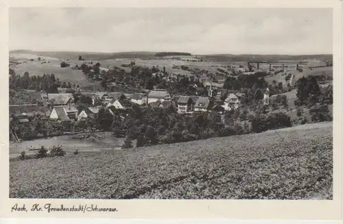 Aach/Freudenstadt Gesamtpanorama gl1952 83.538