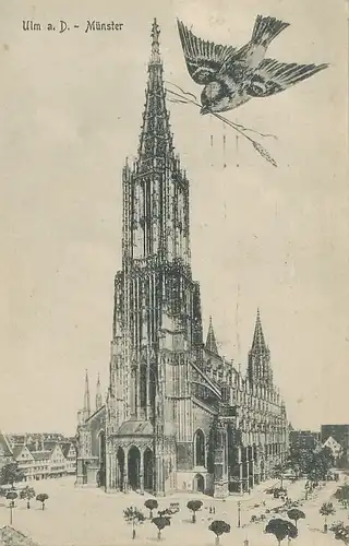 Ulm a. d. Donau Münster feldpgl1918 101.596
