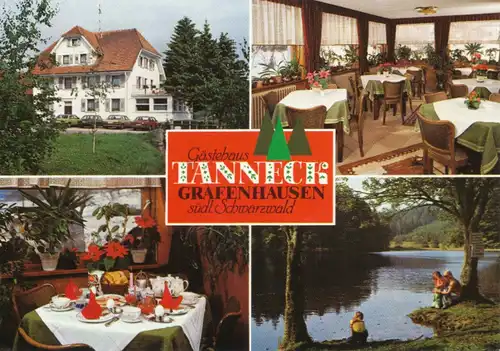 Grafenhausen Gästehaus Tanneck ngl 102.252