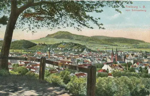 Freiburg i.B. vom Schlossberg feldpgl1916 102.164