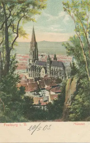 Freiburg i.B. Münster und Panorama ngl 102.174