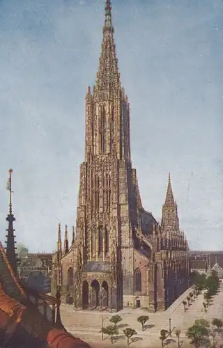 Ulm a.D. Münster ngl 103.270