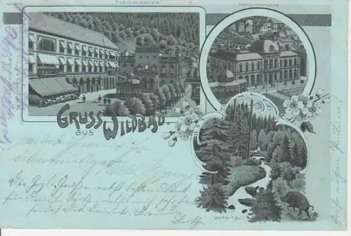 Wildbad Silberlitho Kurplatz Karlsbad gl1902 83.033