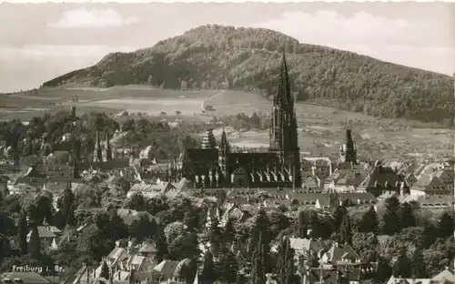 Freiburg Stadtpanorama ngl 102.841