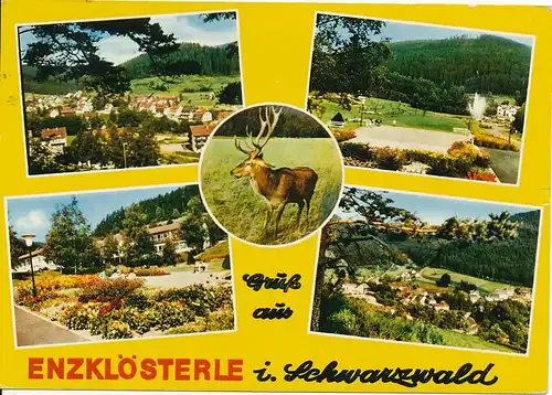 Enzklösterle Mehrbildkarte gl1977 133.688