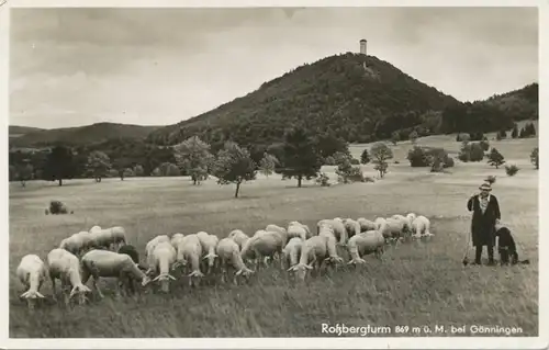 Rossbergturm bei Gönningen Schafherde gl1937 102.482