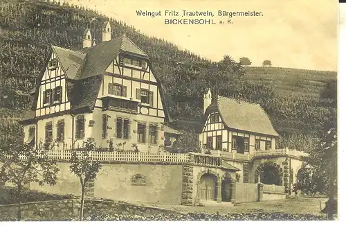 Bickensohl a.K. Weingut Trautwein feldpgl1915 a2908