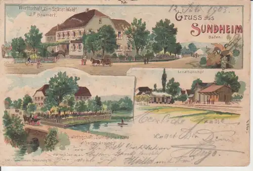 Sundheim Litho Wirtschaft Grüner Wald gl1903 82.734