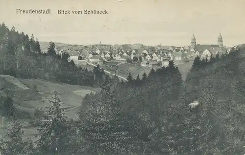 Freudenstadt Blick vom Schöneck gl1910 103.444