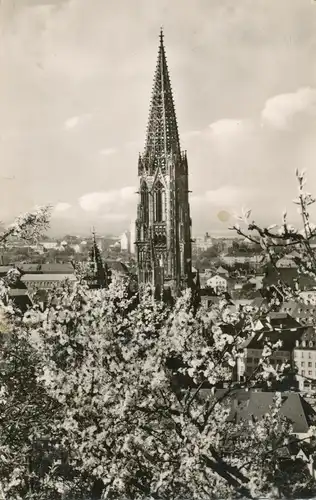 Freiburg/Br. Münster gl1958 109.957