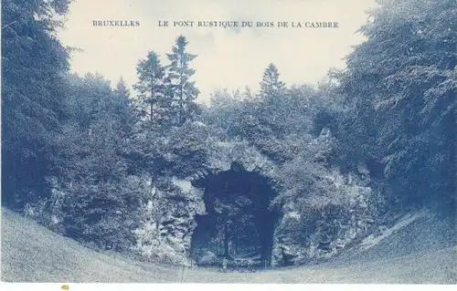 Bruxelles Pont rustique du Bois de la Cambre ngl 20.709