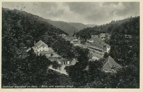 Alexisbad Harz Blick vom eisernen Kreuz gl1933 103.648