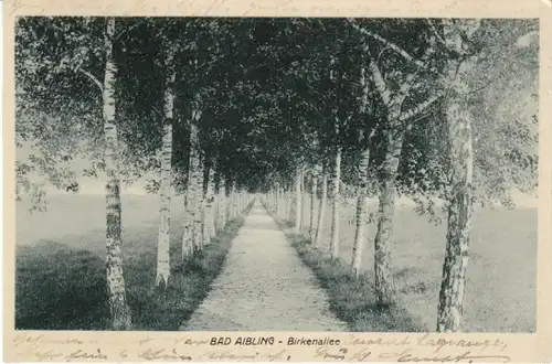 Bad Aibling Birkenallee gl1909 22.176