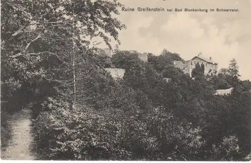 Ruine Greifenstein b.Bad Blankenburg gl1917 20.787