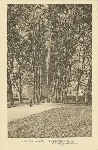 Tübingen Platanenallee feldpgl1917 103.258