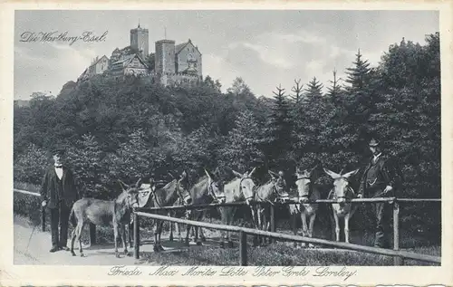 Die Wartburg-Esel ngl 109.643