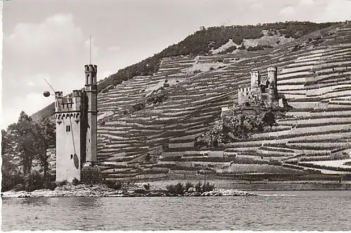 Der Mäuseturm und Ruine Ehrenfels am Rhein gl19 C0776