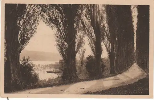 Insel Reichenau i.B.Pappelallee>Konstanz gl1923 26.861