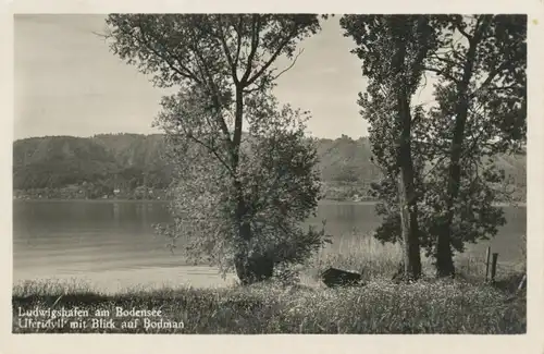 Ludwigshafen Uferidyll m.Blick a. Bodman gl1933 108.719