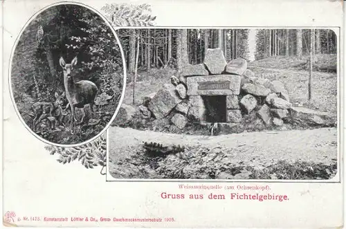 Gruß aus d.Fichtelgebirge Weissmainquelle gl1907 23.219