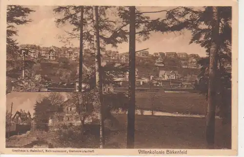 Birkenfeld Gasthaus Bahnhof Villenkolonie gl1915 83.000