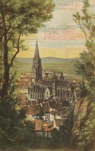 Freiburg vom Schlossberg gl1908 108.916