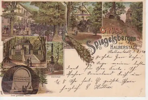 Halberstadt Spiegelsbergen Litho gl1900 90.949